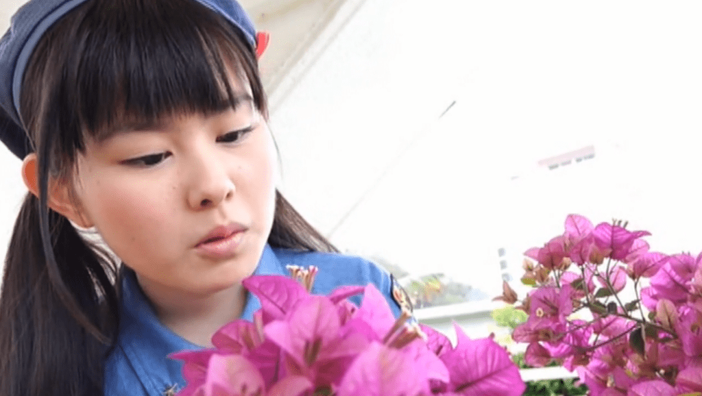 河合玲奈プロフィール